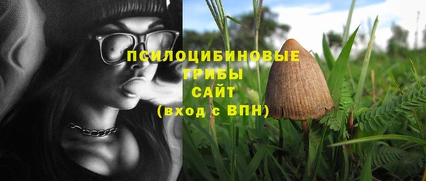 apvp Лиски