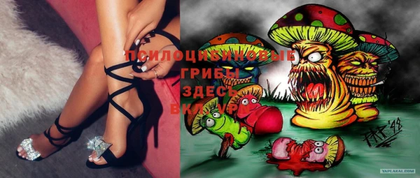 apvp Лиски