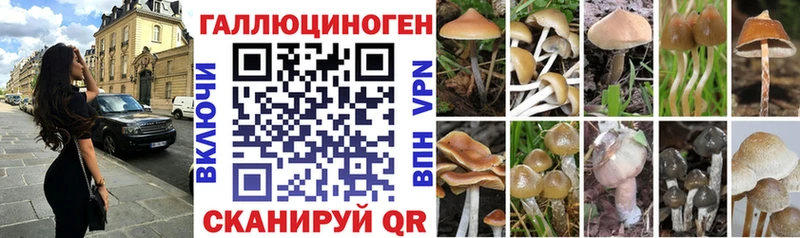 Псилоцибиновые грибы Magic Shrooms  Купить где  Магадан 
